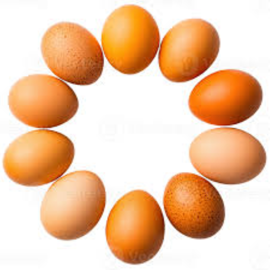 ORGANIC EGG 6PKS